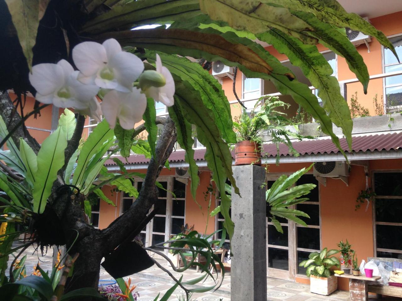 Canggu Pinpoint Rooms מראה חיצוני תמונה